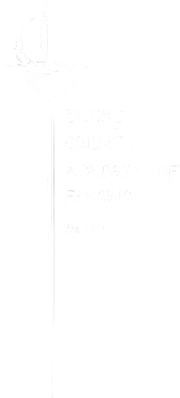Fencing Academy in PA footer logo